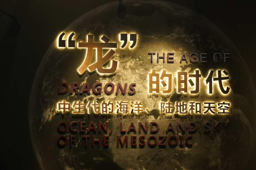 202508231937461068.Png
